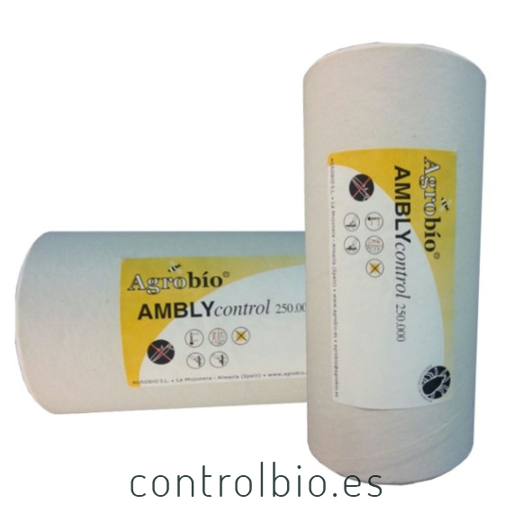 AMBLYCONTROL 250.000 Amblyseius cucumeris ácaro depredador de trips