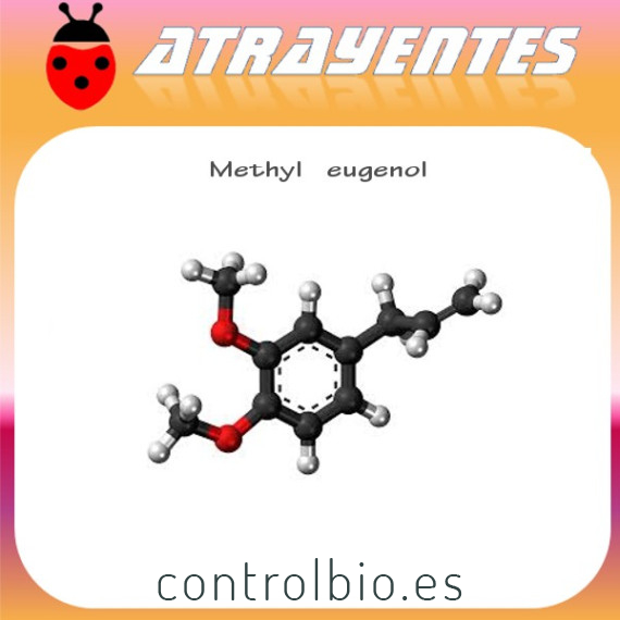 METHYL EUGENOL 90 días