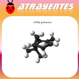 ALFA PINENO 60 dias