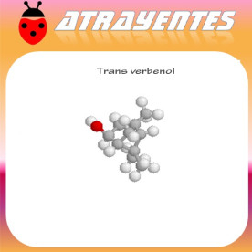 TRANS VERBENOL