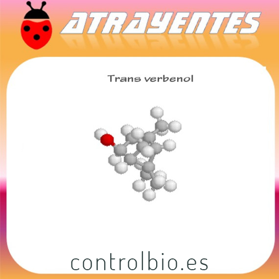 TRANS VERBENOL