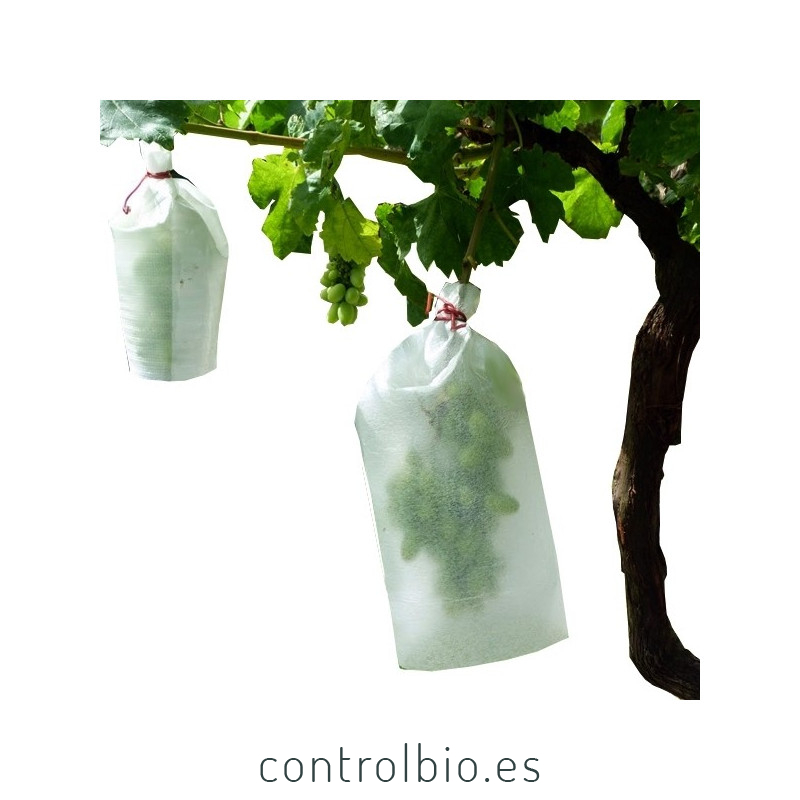 Bolsas para uva tamaño pequeño x 1.000