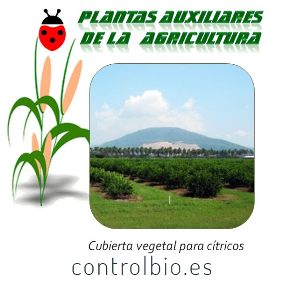 Cubierta vegetal para cítricos x25 Kg