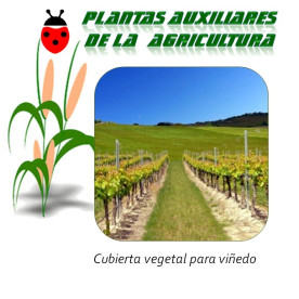 Cubierta vegetal para vid x25 Kg