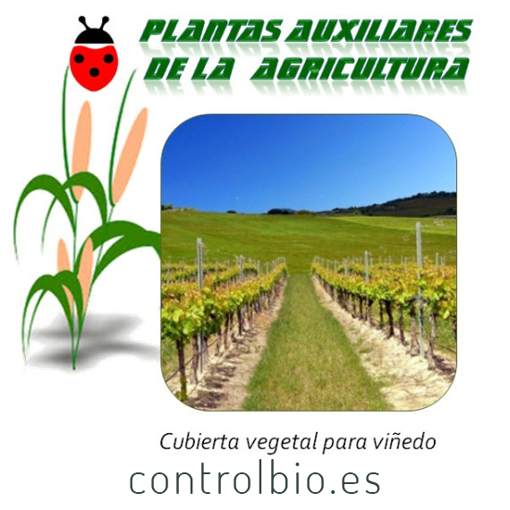 Cubierta vegetal para vid x25 Kg
