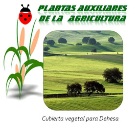 Cubierta vegetal para dehesa x25 Kg