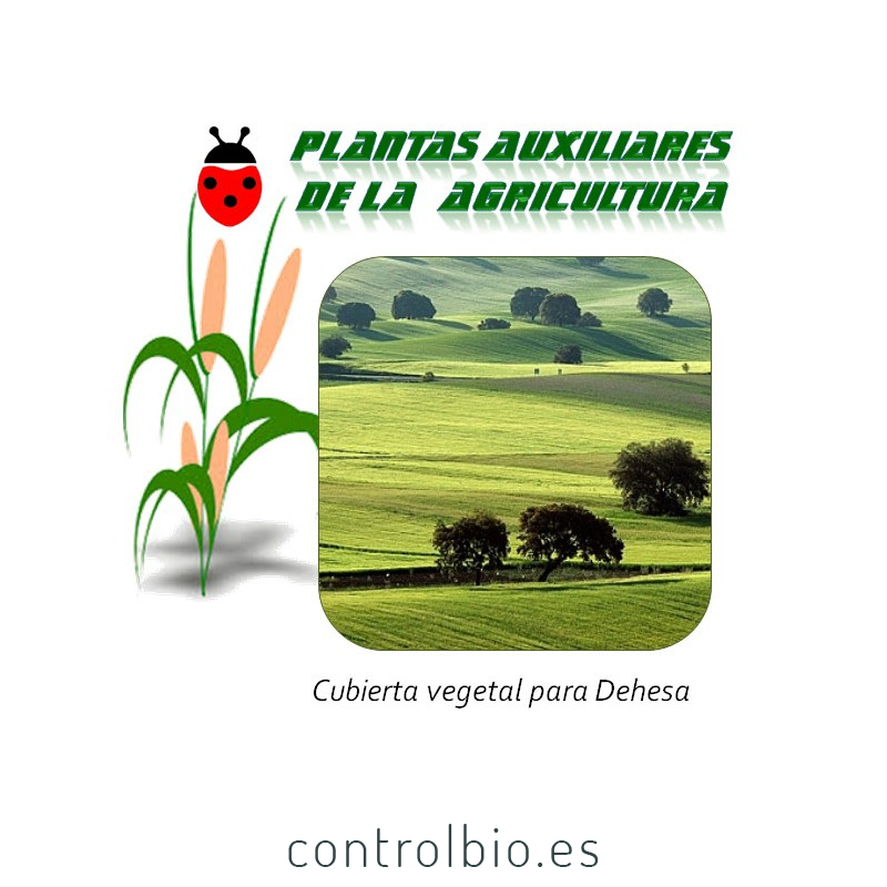 Cubierta vegetal para dehesa x25 Kg