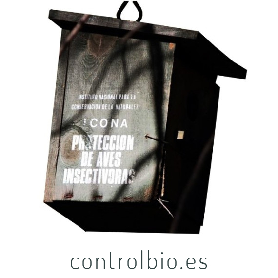 CAJA NIDO modelo ICONA colgar tratada con protección anti pícidos