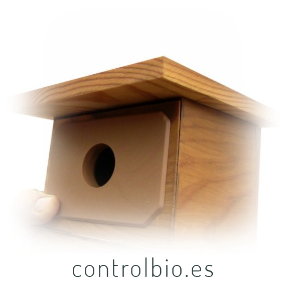 Pletina anti depredadores caja nido