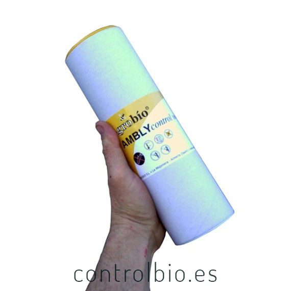 AMBLYCONTROL 100.000 Amblyseius cucumeris ácaro depredador de trips