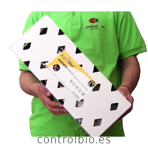 ANDERCONTROL 500 sobres Amblyseius andersoni