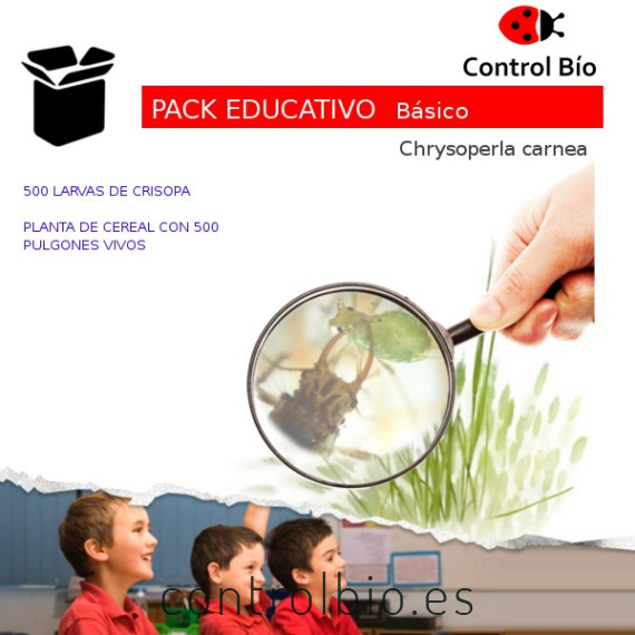 Crisopa PACK EDUCATIVO básico