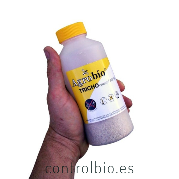 TRICHOCONTROL 100.000 contra tuta absoluta bote Trichogramma achaeae
