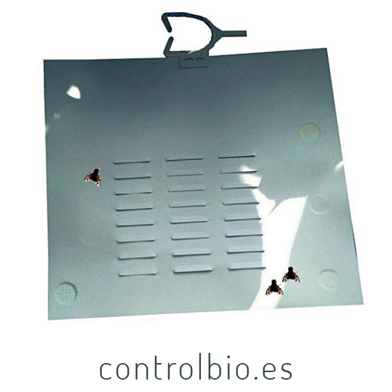 MAGNET MED contra Ceratitis bolsa 25