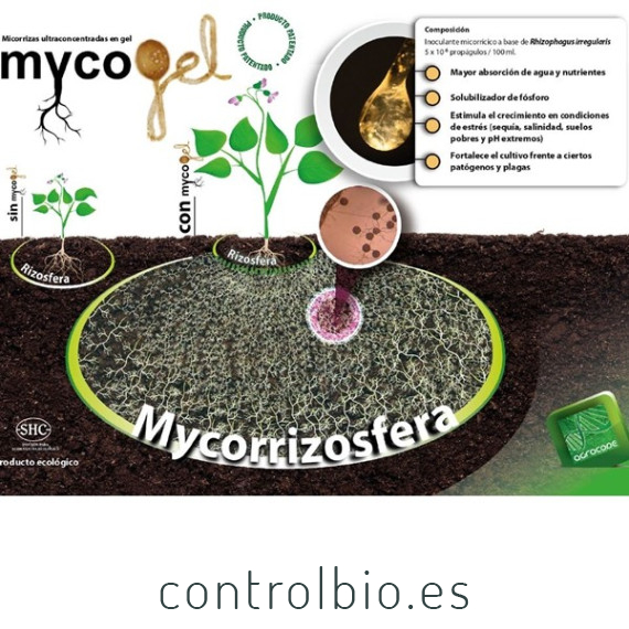 Mycogel micorrizas Rhizophagus irregularis