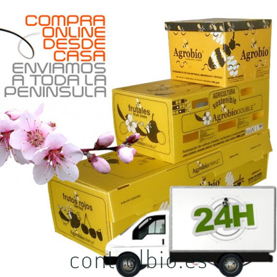COLMENA TRIPLE de  frutales