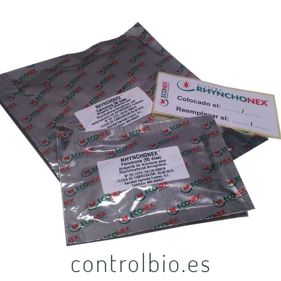 RHYNCHONEX kit atrayente picudo rojo (Feromona + Kairomona) 90 días