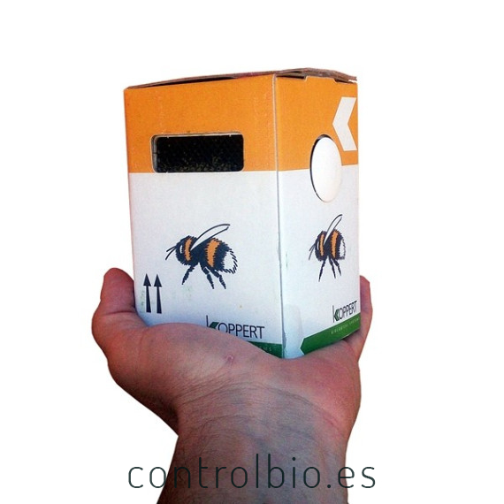 Natupol seeds koppert