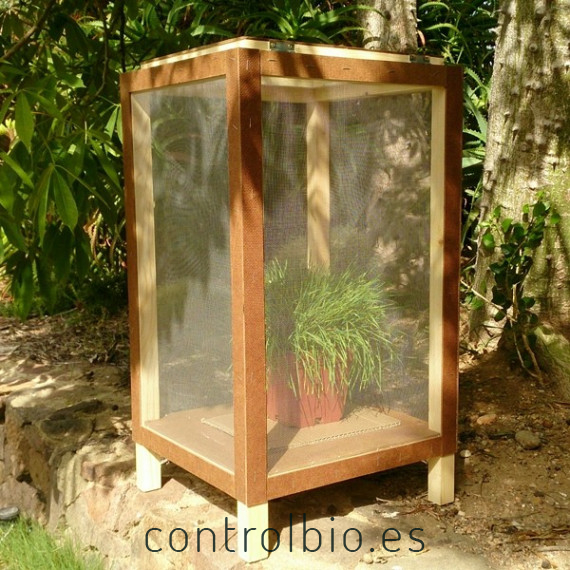 INSECTARIO PROFESIONAL Econex