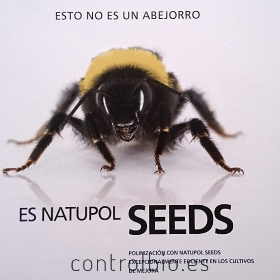 Natupol seeds koppert