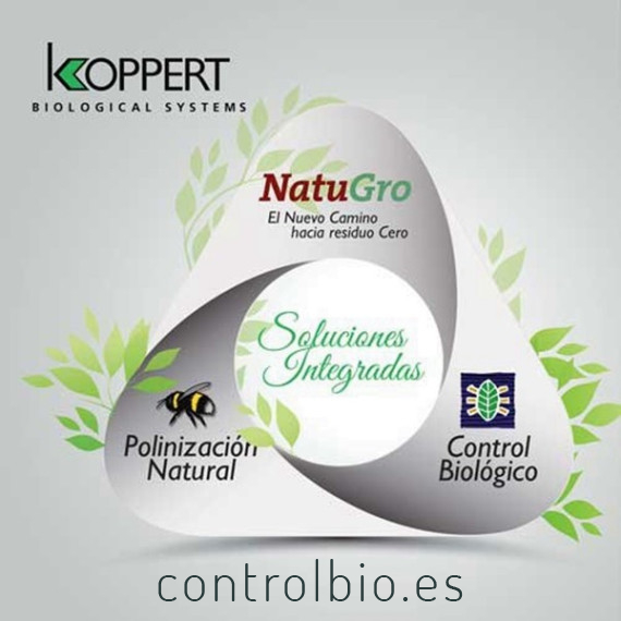 VIDI TERRUM 5L bioestimulante con aminoácidos de Koppert