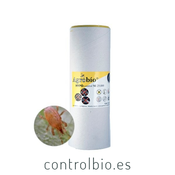 HYPOcontrol 25000 Stratiolaelaps scimitus ácaro depredador de suelo