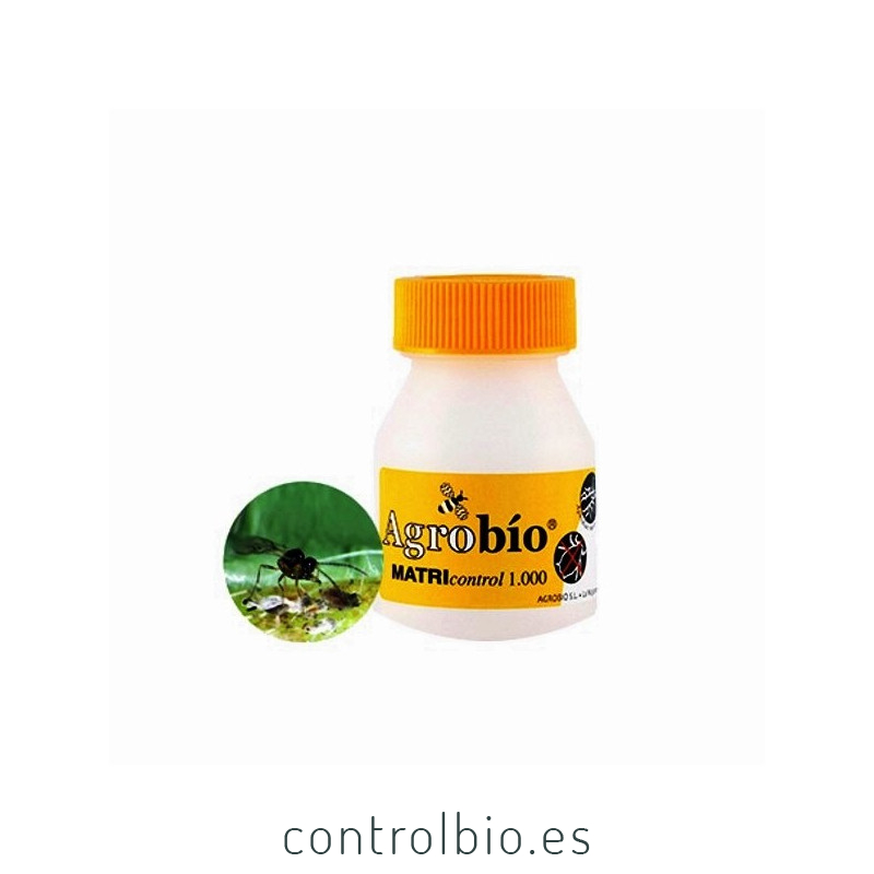 MATRIcontrol 2.000 Aphidius matricariae parasitoide de pulgones