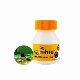 MATRIcontrol 1000 Aphidius matricariae parasitoide de pulgones