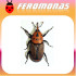 FEROMONA PICUDO ROJO 150 días