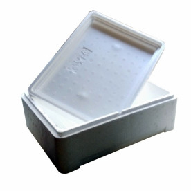 Caja isoterma EPS 5 L
