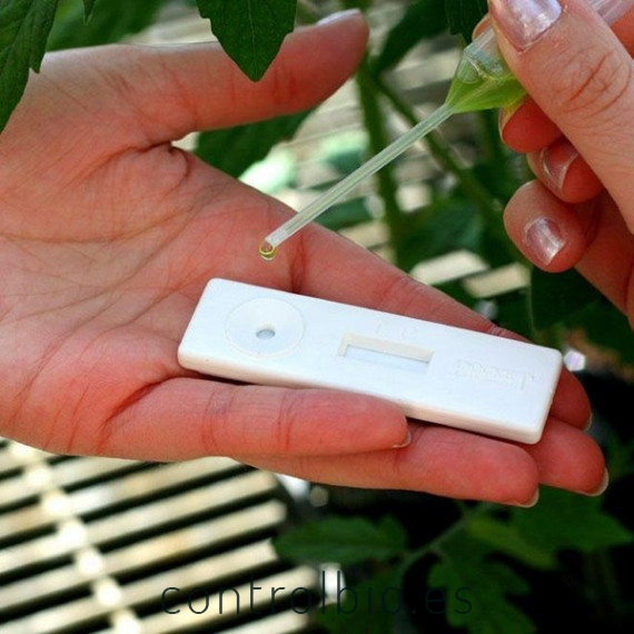 TEST Phytophthora 50 Ud