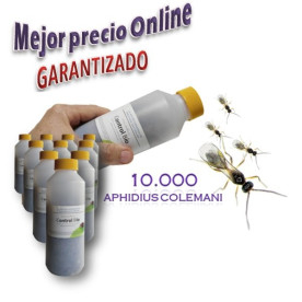 CBi Aphidius colemani 10.000 ud