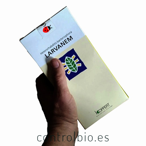 LARVANEM 500 Heterorhabditis bacteriophora