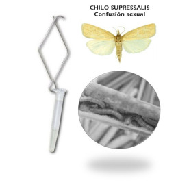 CHILOTEC confusion sexual Chilo suppressalis