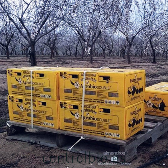 COLMENA DOBLE de frutales