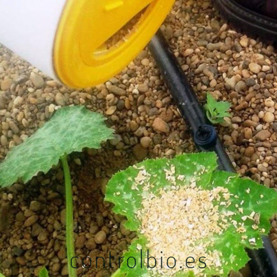 POWERMITE 5 L alimento alternativo para ácaros depredadores