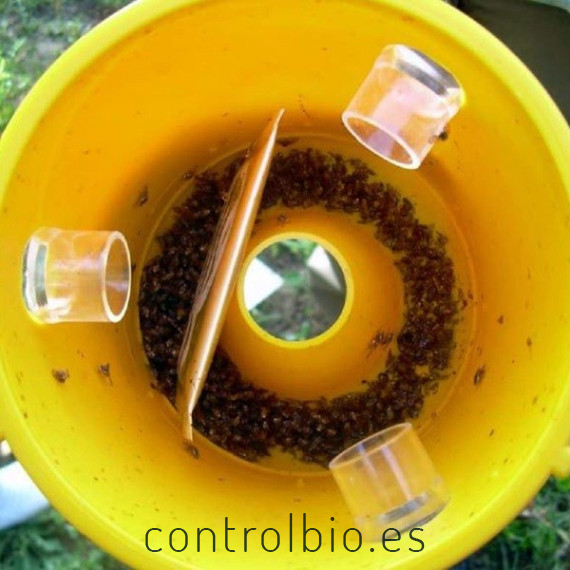 CERATIPACK Trampa + cebo + insecticida contra mosca de la fruta