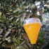 CERATIPACK Trampa + cebo + insecticida contra mosca de la fruta