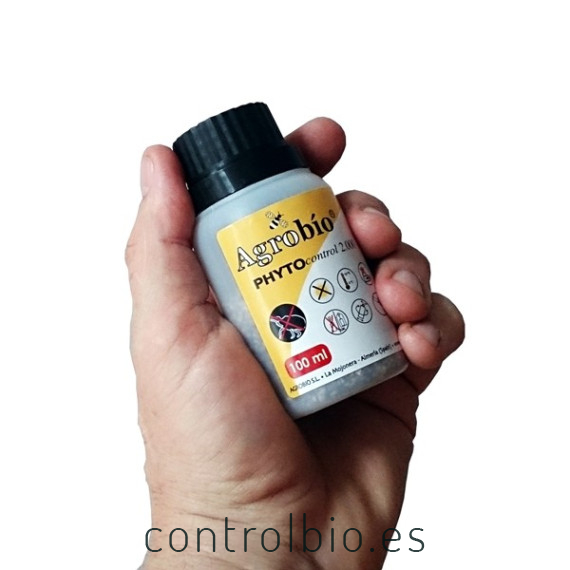 PHYTOcontrol 2.000 Phytoseiulus persimilis ácaro depredador de araña roja