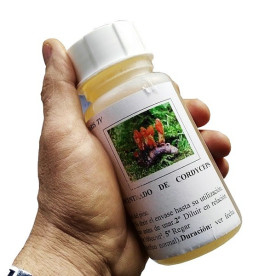 Cordyceps militaris 250 contra procesionaria