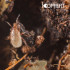 ENTOMITE M 10.000 Hypoaspis miles