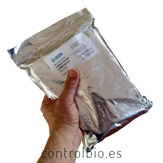 LOBETEC Confusión sexual Lobesia botrana