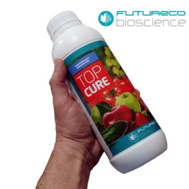 TOPCURE aminoácidos para aplicación foliar