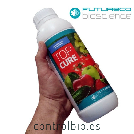 TOPCURE aminoácidos para aplicación foliar
