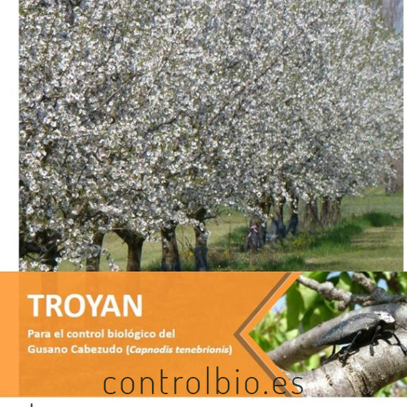 TROYAN 1.500 contra gusano cabezudo