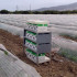 Estación polinizadora frutales koppert