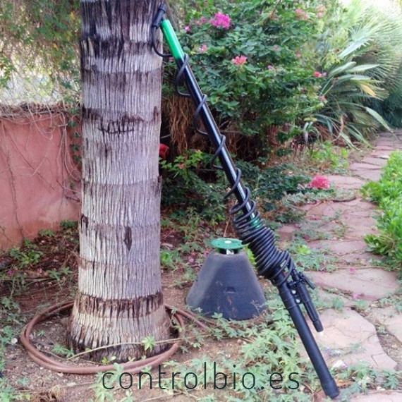 PÉRTIGA DE TRATAMIENTOS PARA PICUDO ROJO