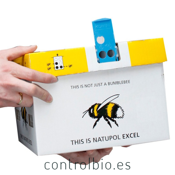 NATUPOL EXCEL nueva colmena KOPPERT