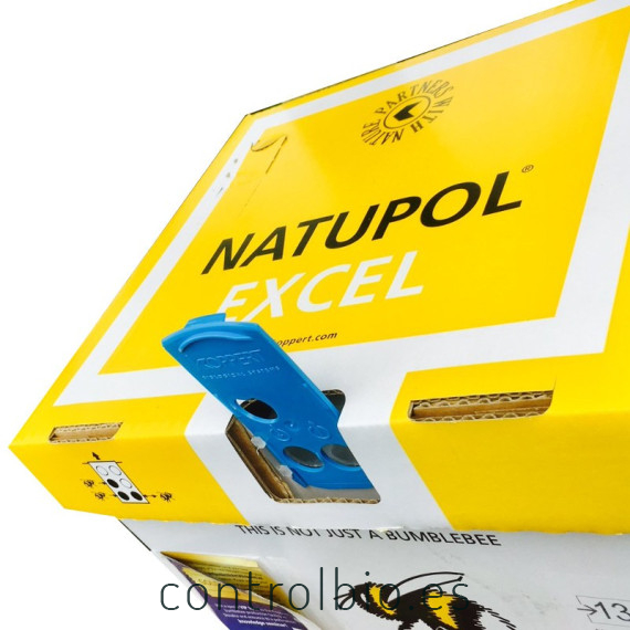 NATUPOL EXCEL nueva colmena KOPPERT