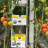 NATUPOL EXCEL nueva colmena KOPPERT